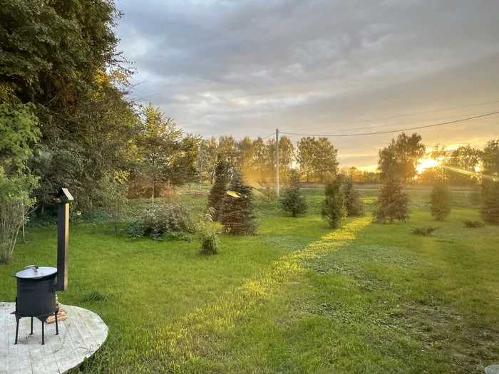 Summer, dacha, Tula region - My, Dacha, Summer, Nature, The sun, Kazan, Lawn, Village, Village