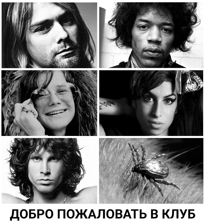 Новость №1355: Оказалось, что африканские клещи могут дожить до 27 лет