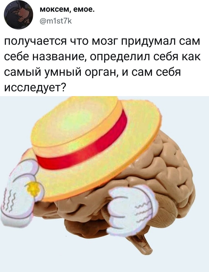     ,   , , , , X (Twitter)