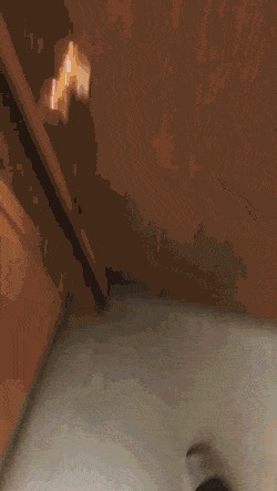      , , , 