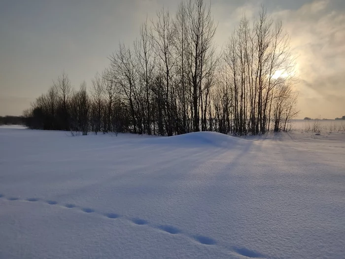 Winter sun - My, Winter, Field, Moscow region