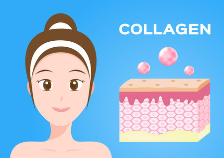 Collagen: what is it and in what products is it contained? - My, Nutrition, Health, Collagen, Organism, Aging, Blood vessels, Products