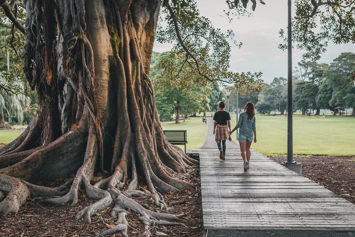 Australian parks will be fertilized with human urine - Australia, The park, Fertilizers, Urine, Human, Sydney, Brisbane, Experiment, The national geographic, Toilet, Public toilet, Life safety, Research, Scientists, Longpost
