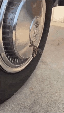   , , , 