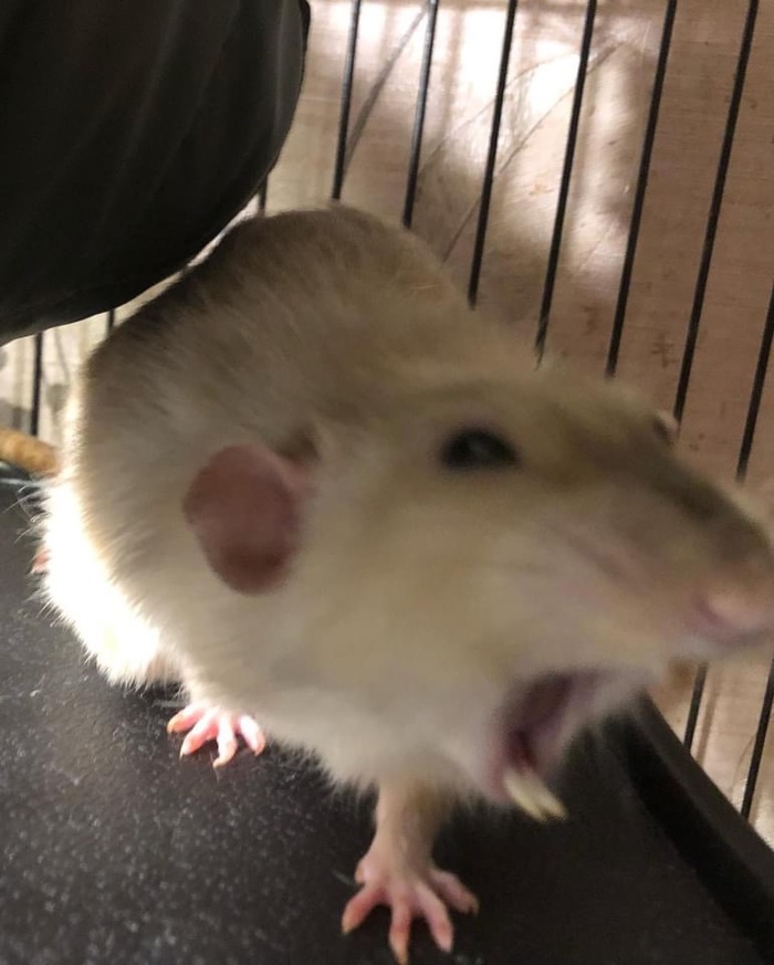    )  ,  , , ,  , 