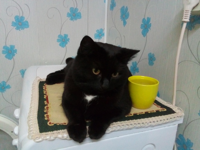 Наша любимка