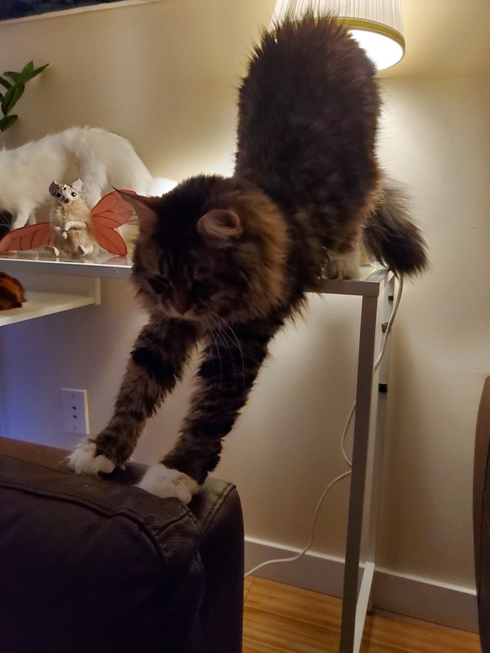   , , , , , 
