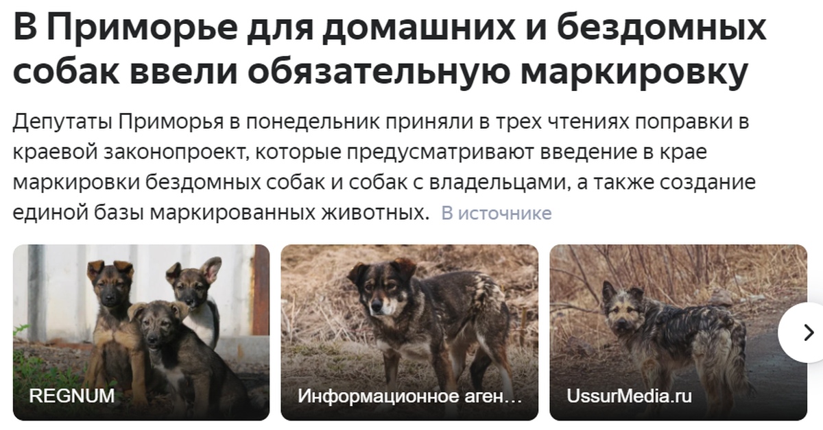 Правила маркирования животных. Маркировка животных. собаки приморья.