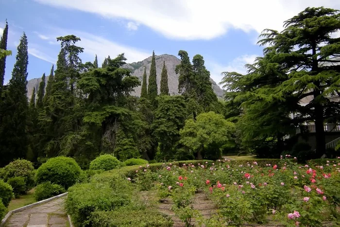 The miracle of landscape design is destroyed without f**ing and crap - Officials, Eco-city, Injustice, Corruption, Media and press, Crimeans, Crimea, Longpost, Landscape design, Foros Park, Lawlessness