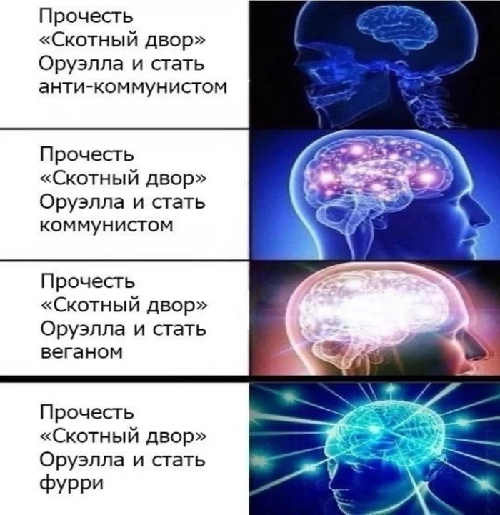 Стадии познания скотного двора - Скотный двор, Мемы, Картинка с текстом, Фурри, Коммунизм