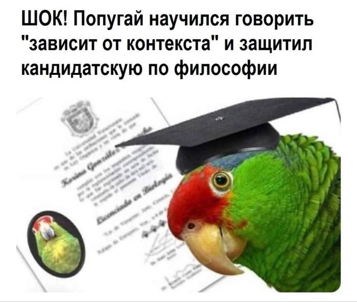 Ничто не истина, все дозволено