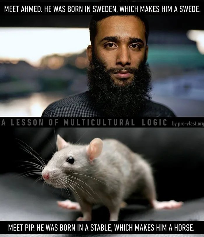 Ахмед и мышенок Пип