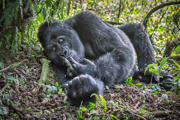 На ноготочки, что ли, записаться?