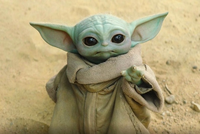 ������� ����� ���� �������� �� "�������� ������"