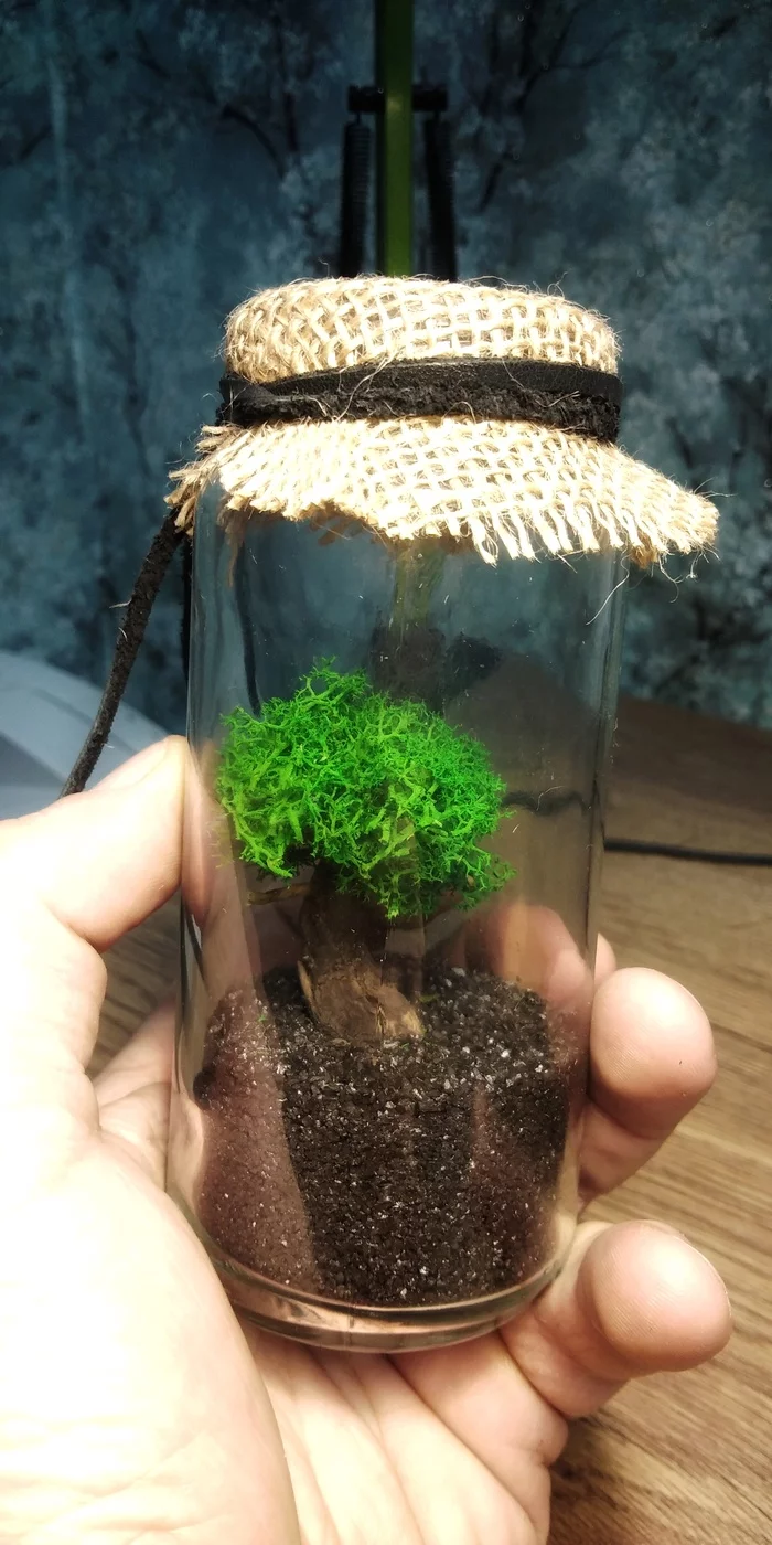 A little stabilized moss)) - My, Decor, Moss, Miniature, Art, Plants, Houseplants, Hobby, With your own hands, Longpost, Needlework without process