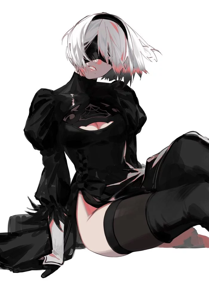 2B & 9S by Kazari Tayu - Kazari tayu, NIER Automata, Yorha unit No 2 type B, Yorha unit no 9 type S, Игры, Game Art, Длиннопост