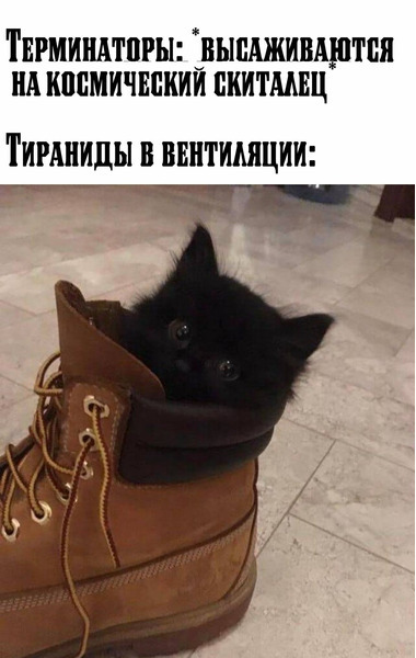 Добрый вечер