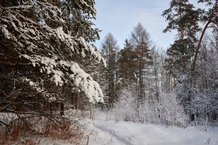 A little bit of Siberian winter - My, Siberia, Winter