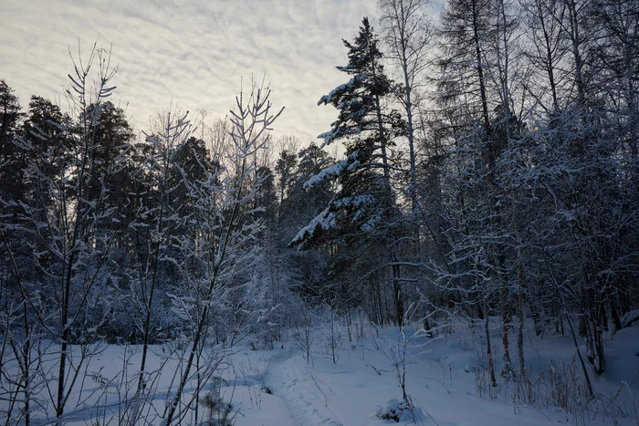 A little bit of Siberian winter - My, Siberia, Winter