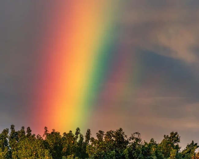 Rainbow - Rainbow, The photo