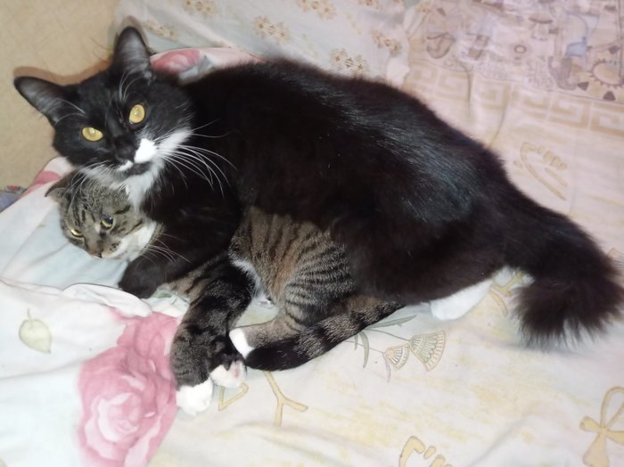 У нас тут своя атмосфера