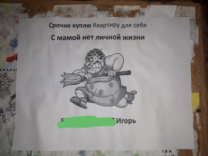 ���� ����