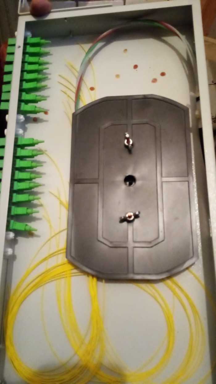 �����-������-����������