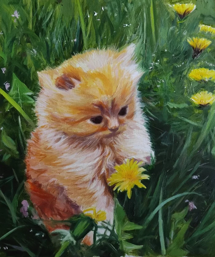 Red kitten - My, Oil paints, Animalistics, Kittens, Painting, Painting, cat