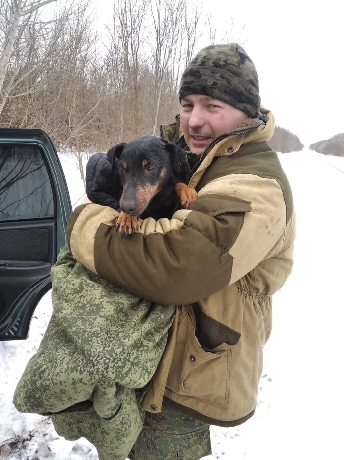 A hunter from the Kursk region searched underground for his dog for 5 days - The rescue, Lost, Animal Rescue, Kindness, Miracle, Positive, Kursk region, Video, Longpost