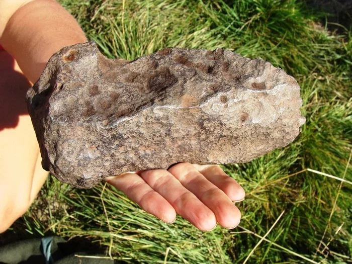 A meteorite weighing 3 kg appeared in the Ural Geological Museum (PHOTOS) - Yekaterinburg, Geology, Meteorite, Museum, Mining University, Longpost