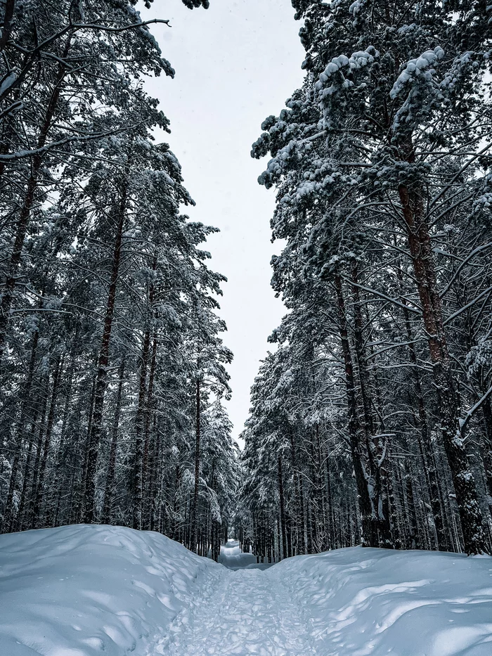 Winter is here! - Моё, Фотография, Sony, Sony a6000, Красота природы, Зима