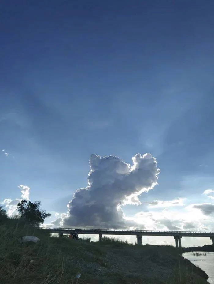 Celestial Kote - Pareidolia, Clouds, Sky, cat