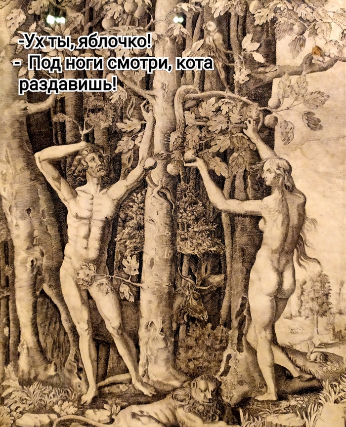    ,  , ,   