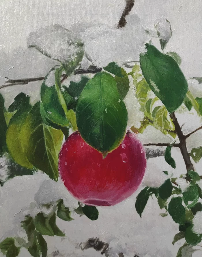 Apples, snow - My, Oil paints, Фрукты, Painting, Painting, Apples