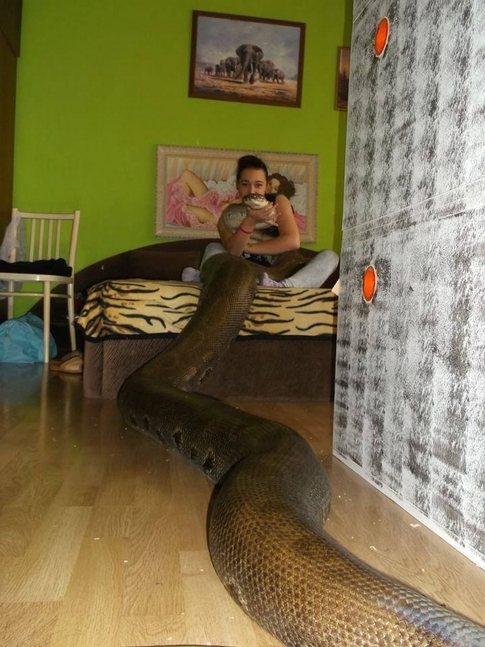 ����� �� ���� ������� ��������