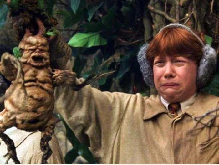 When I bought new beets, but found an old one in the refrigerator - Ron Weasley, Mandrake, Everyday life, Harry Potter, Humor