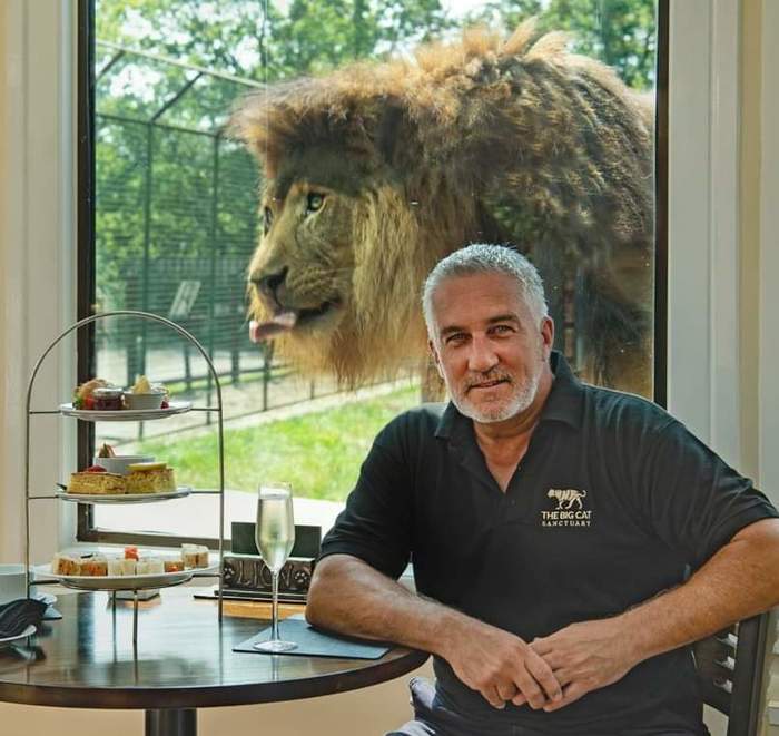 ������ ����� �� �����