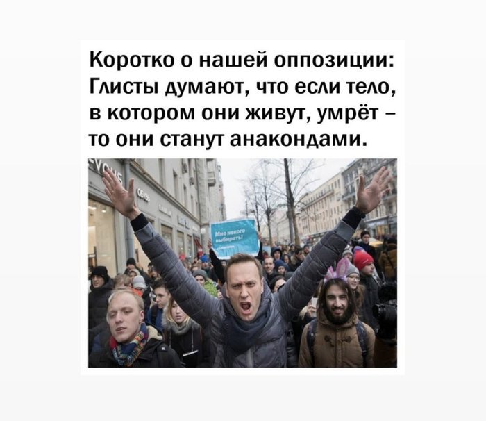 Briefly about the Russian opposition - Politics, Alexey Navalny, Opposition, Humor, Критика
