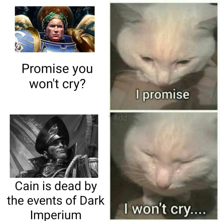 Kaiafas Cain died... Again - Warhammer 40k, Wh humor, Memes, Humor, Imperial guard, cat, Sadness, Ciaphas Cain