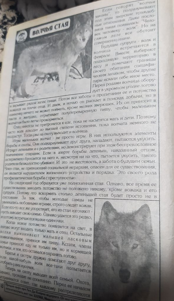 Развлекательный журнал Каламбур №5-6 (24) 1999 года - Моё, Журнал, Детский журнал, Каламбур, 1999, Длиннопост, Юмор, Черный юмор, Кроссворд