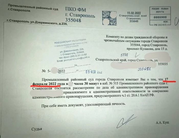 Забота о малом бизнесе detected, 2-я серия - Моё, Коронавирус, Психологическая помощь, Малый бизнес, Забота, Суд