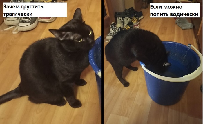 ����� �������� ����������, ���� ����� ������ ���������...