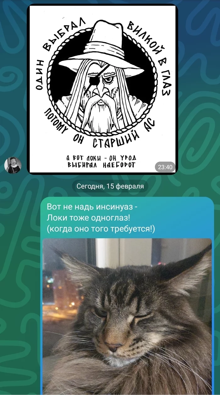 Loki and Odin - Screenshot, One, Loki, Impromptu, cat