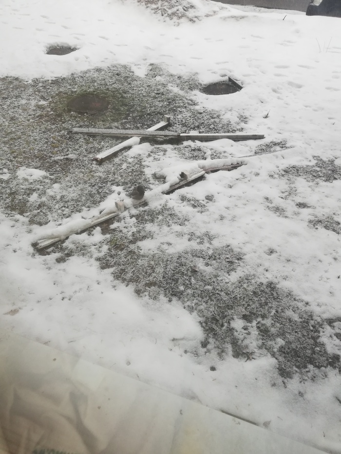 �� ����� ����� �������� ������. �����-���������