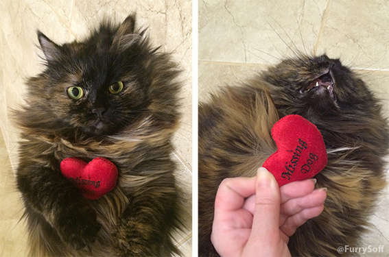 Когда перепутал валентинки