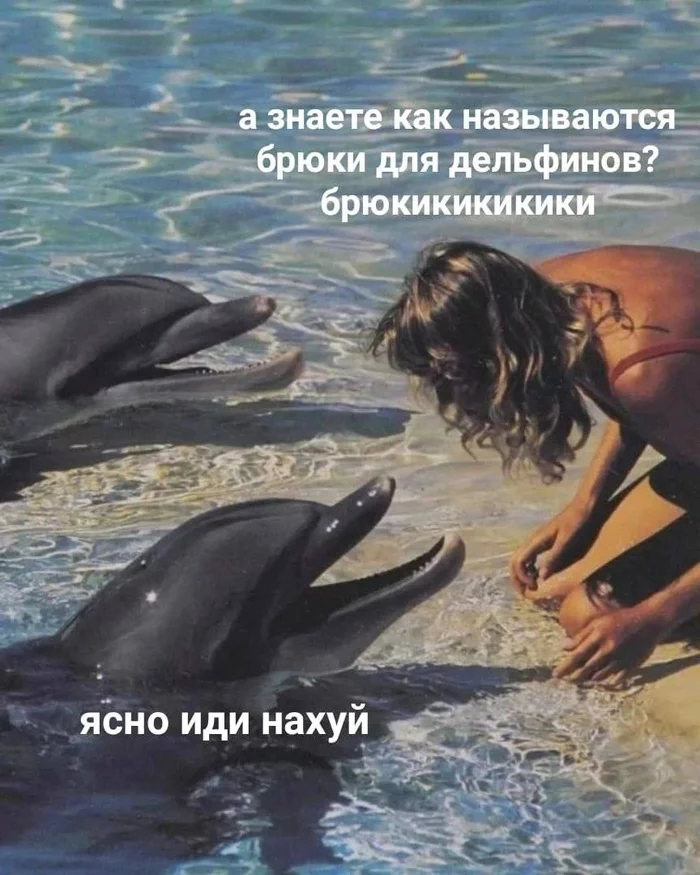 You know? - Memes, Dolphin, Trousers, Mat