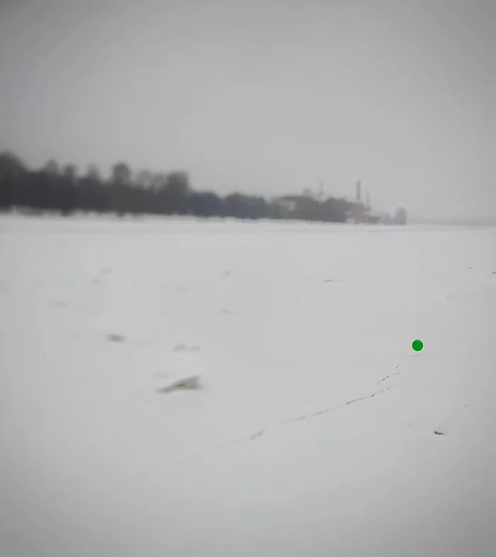 Lonely Green Ball - My, Saint Petersburg, Grey, Neva, Ball, Winter