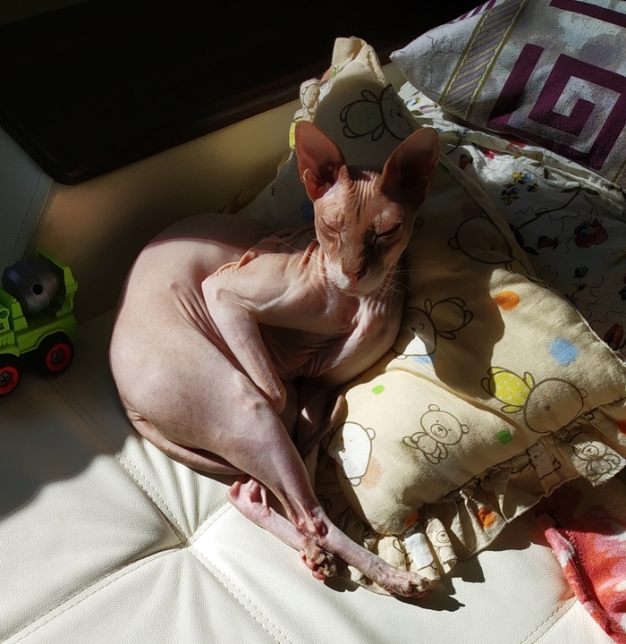 � ��� ������ ���, ��� ����� �����...