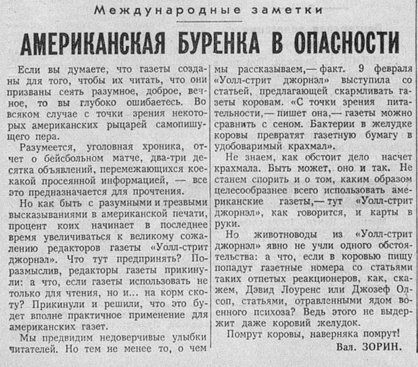 Американская буренка в опасности