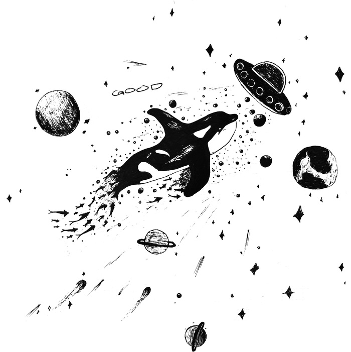      , , , ,  , , , ,  